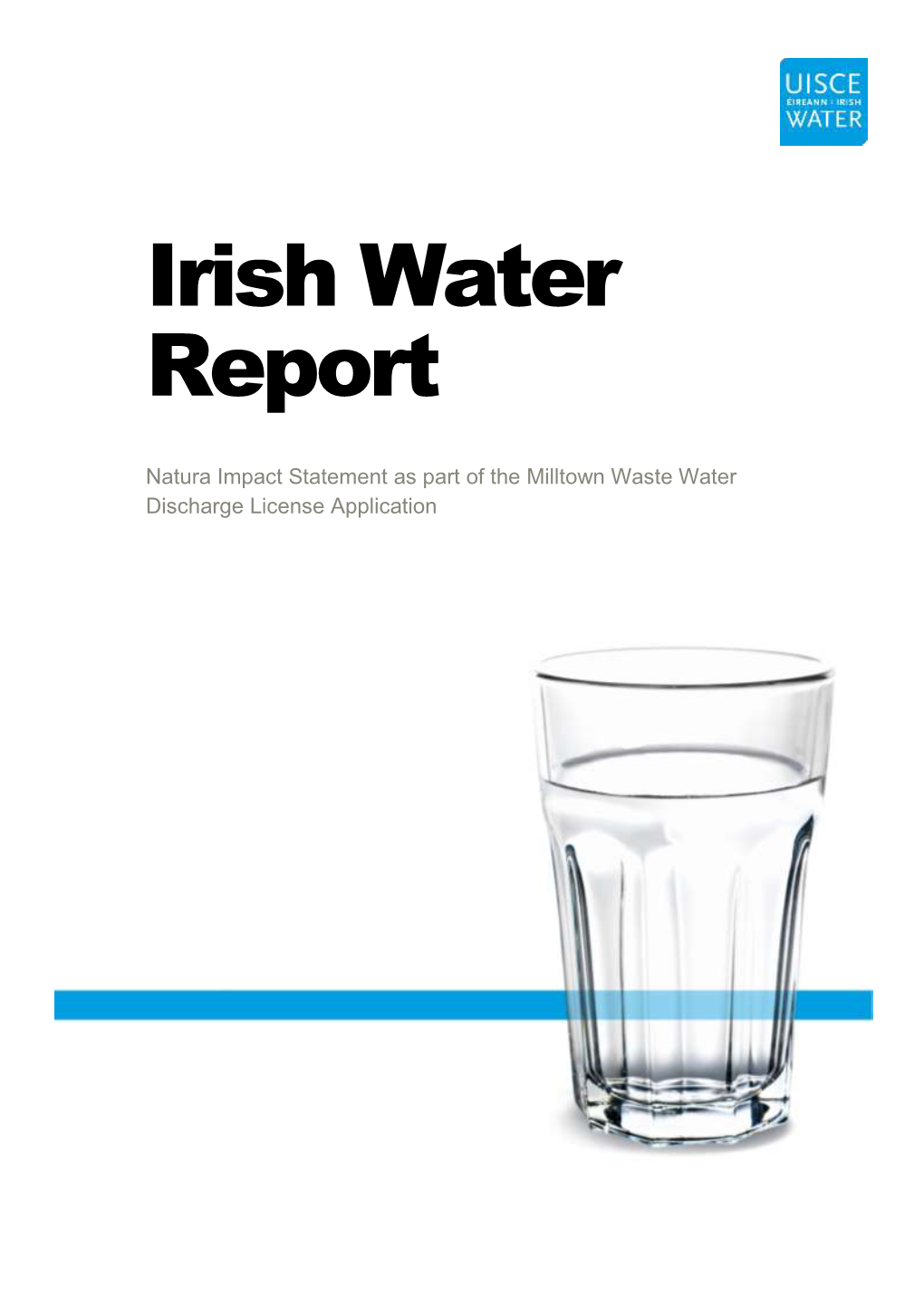 Irish Water Report