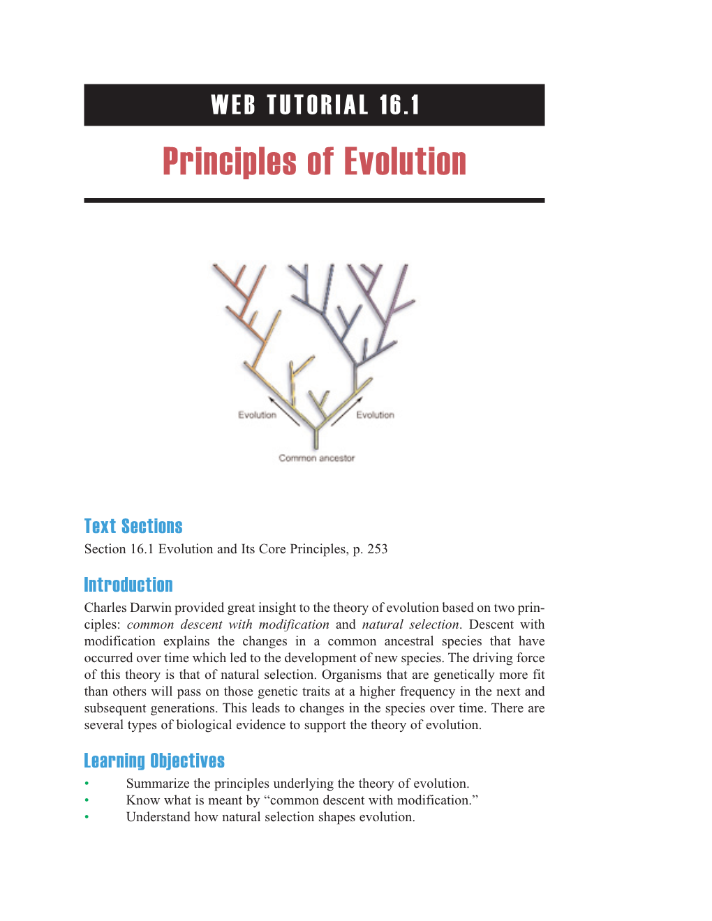 Principles of Evolution