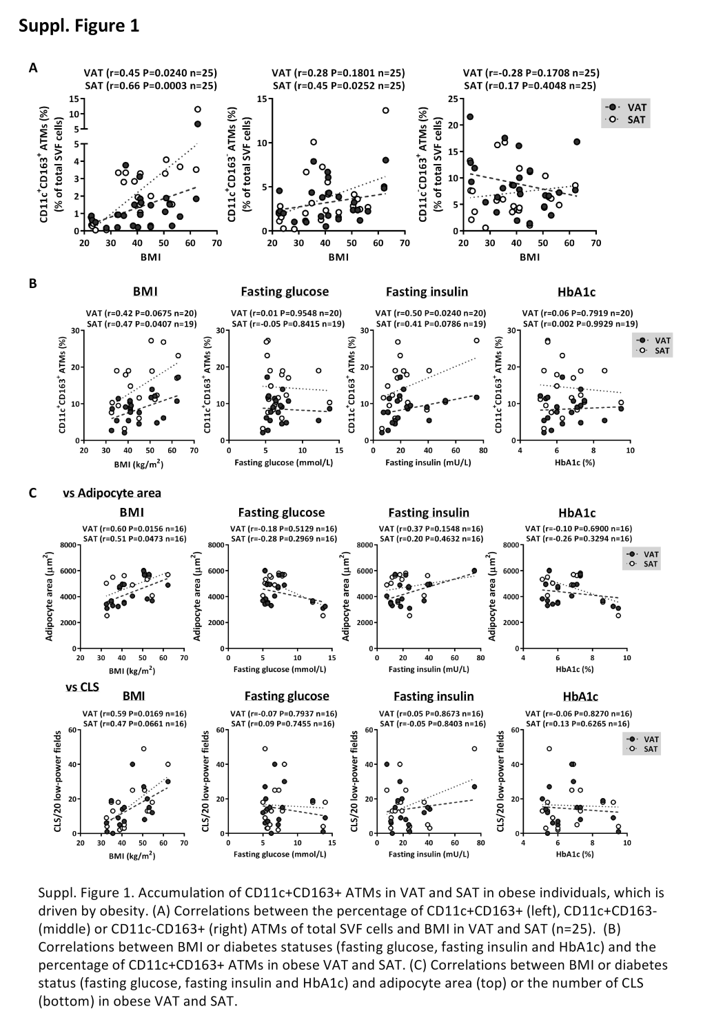 Supplemental Material 1 (PDF)