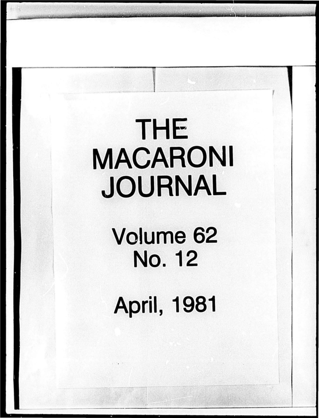 Macaroni Journal