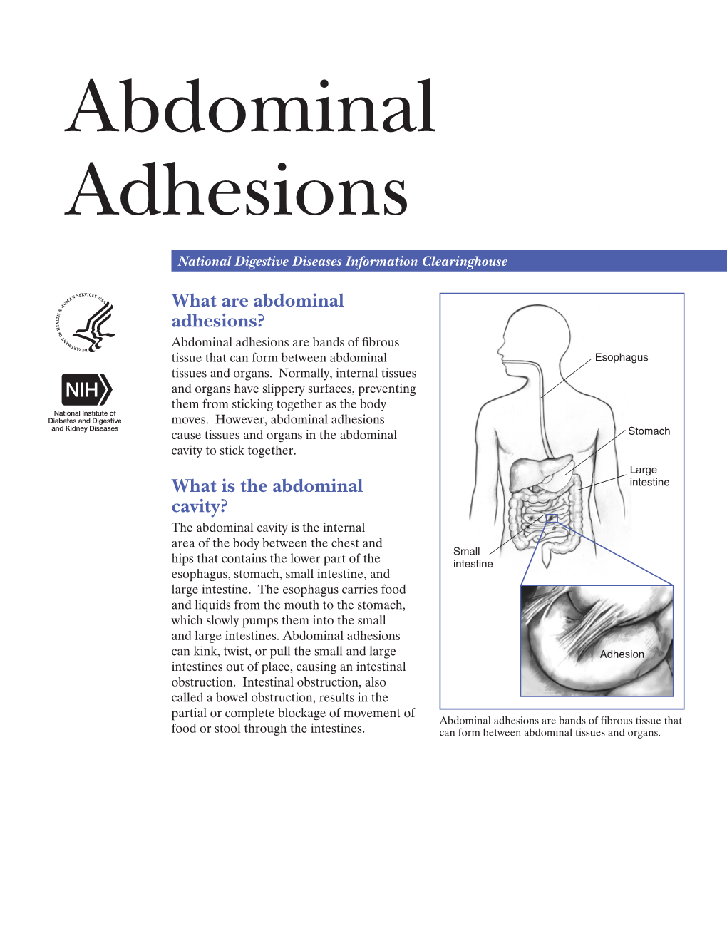 Abdominal Adhesions