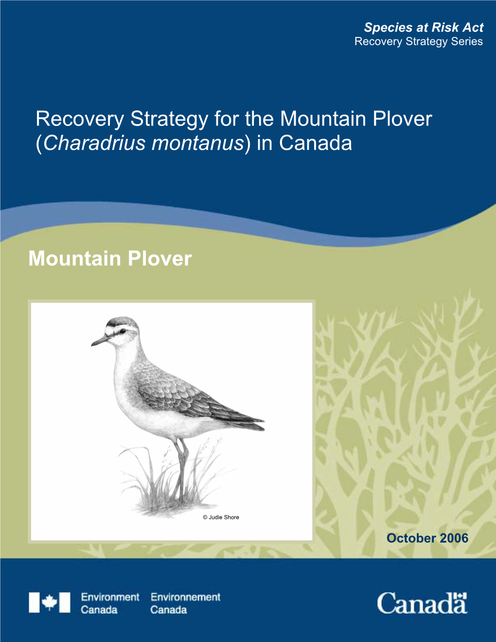 Recovery Strategy for the Mountain Plover (Charadrius Montanus) in Canada