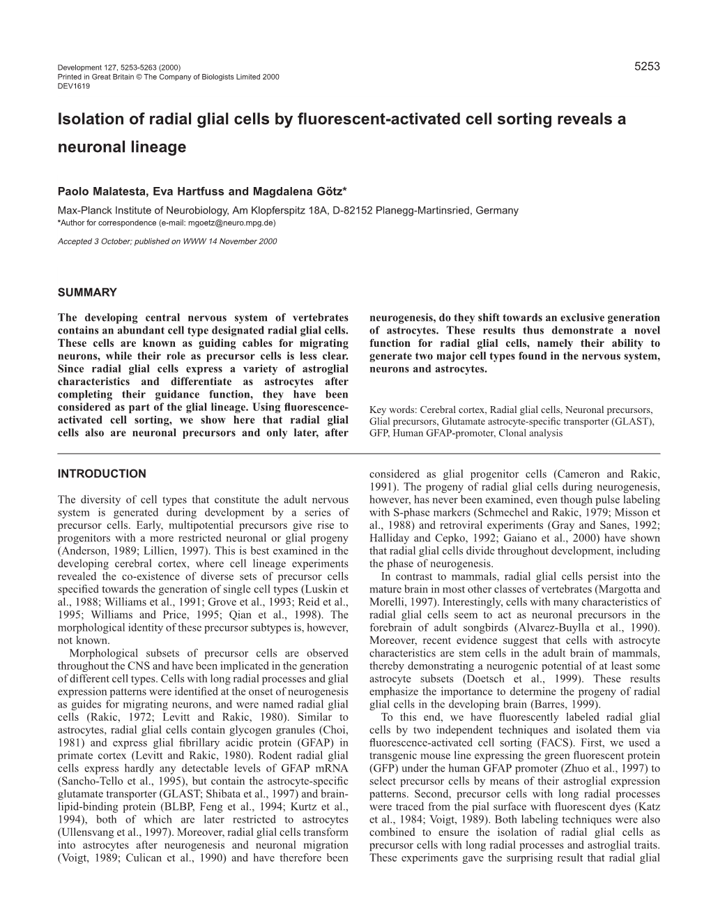 Radial Glial Cells As Neuronal Precursors 5255 in Sections of the Cortex from E14-E18