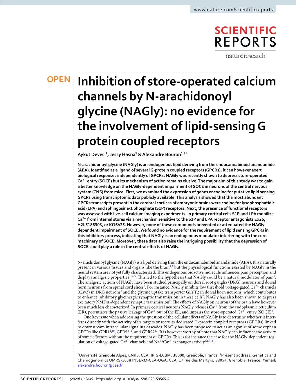 Inhibition of Store-Operated Calcium Channels by N-Arachidonoyl Glycine