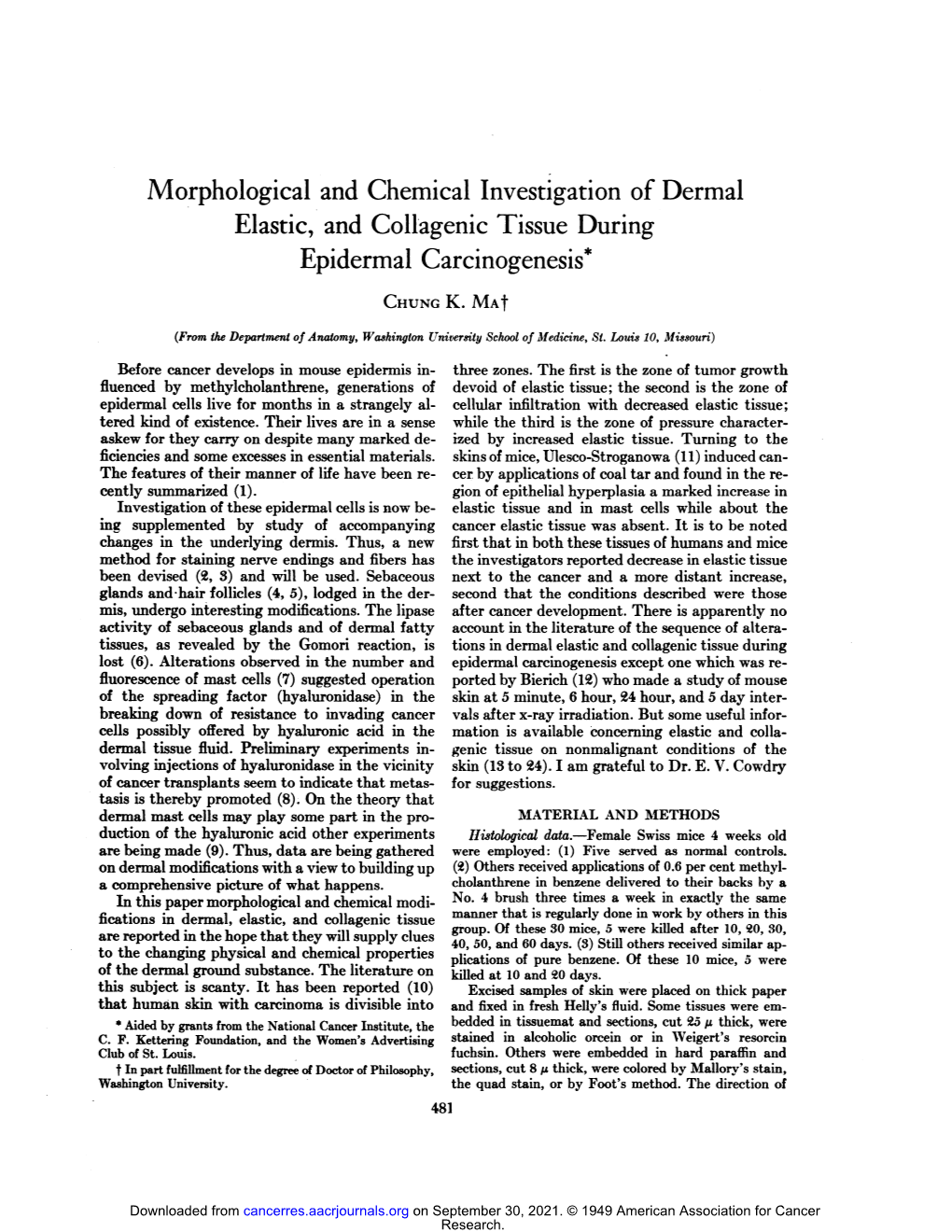 Elastic, and Collagenic Tissue During Jipiaermai @Arcinogenesis Morphological and Chemical Investigation of Dermal