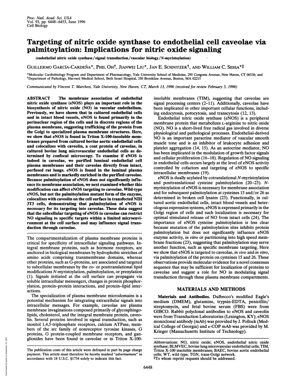 Palmitoylation