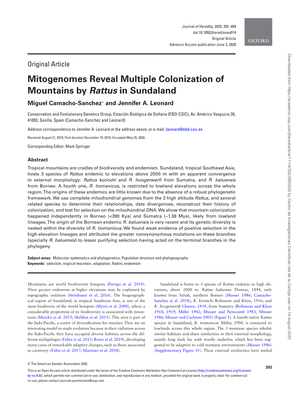 Mitogenomes Reveal Multiple Colonization of Mountains by Rattus in Sundaland Miguel Camacho-Sanchez and Jennifer A