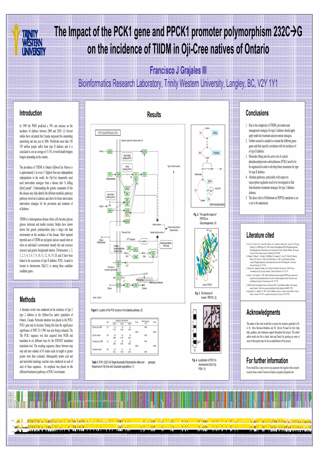 Powerpoint Template for Scientific Posters