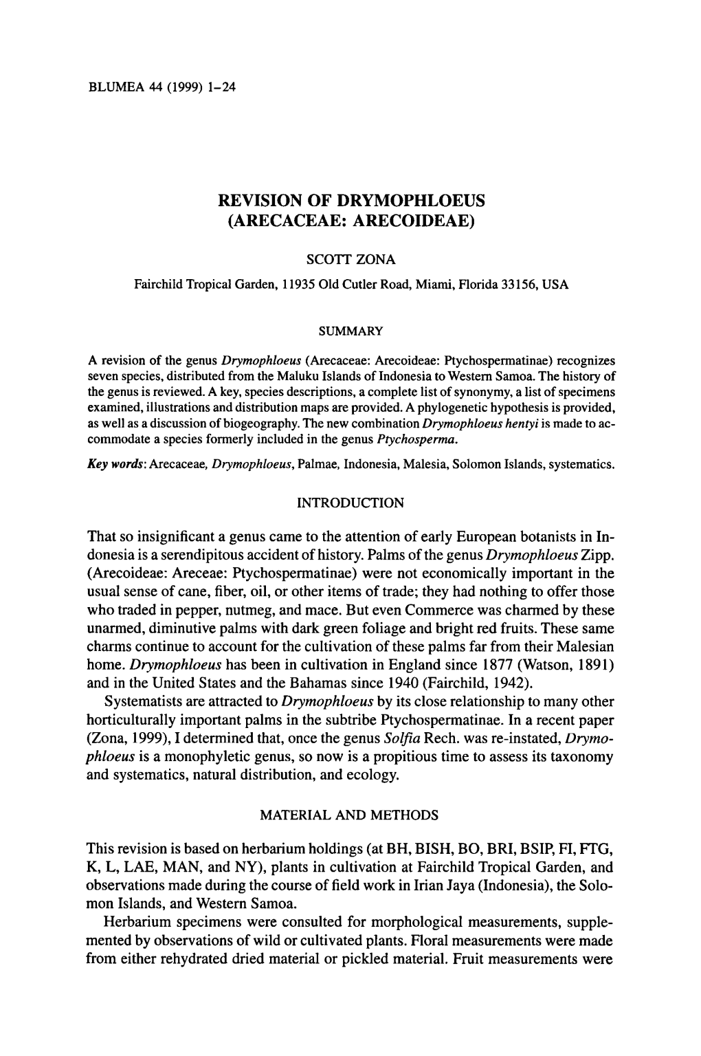 Revision of Drymophloeus