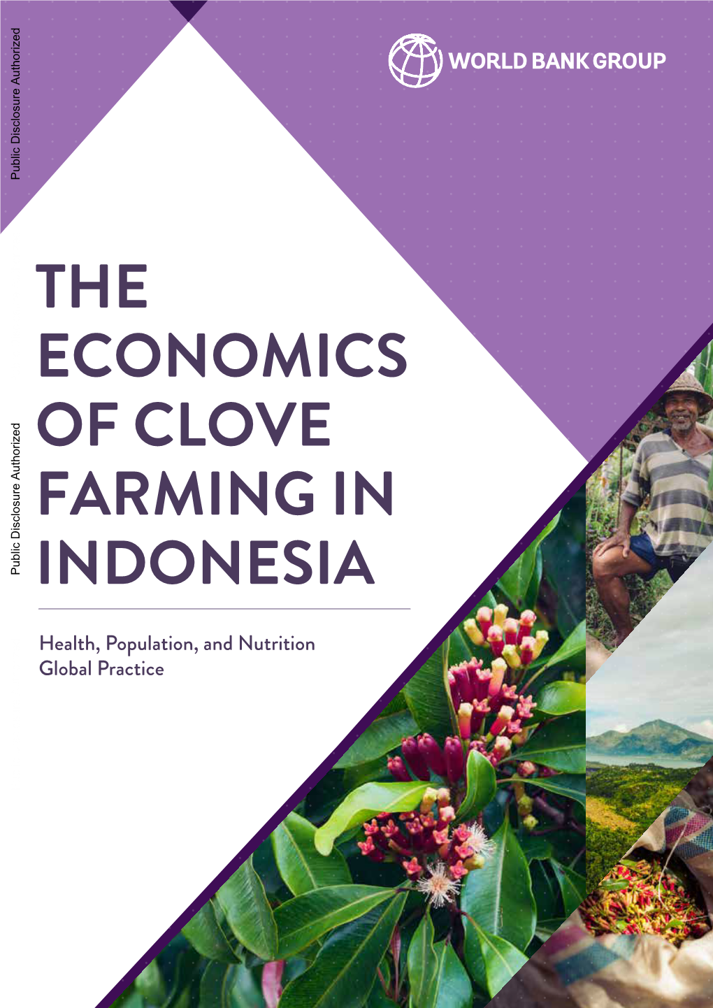 The Economics of Clove Farming in Indonesia