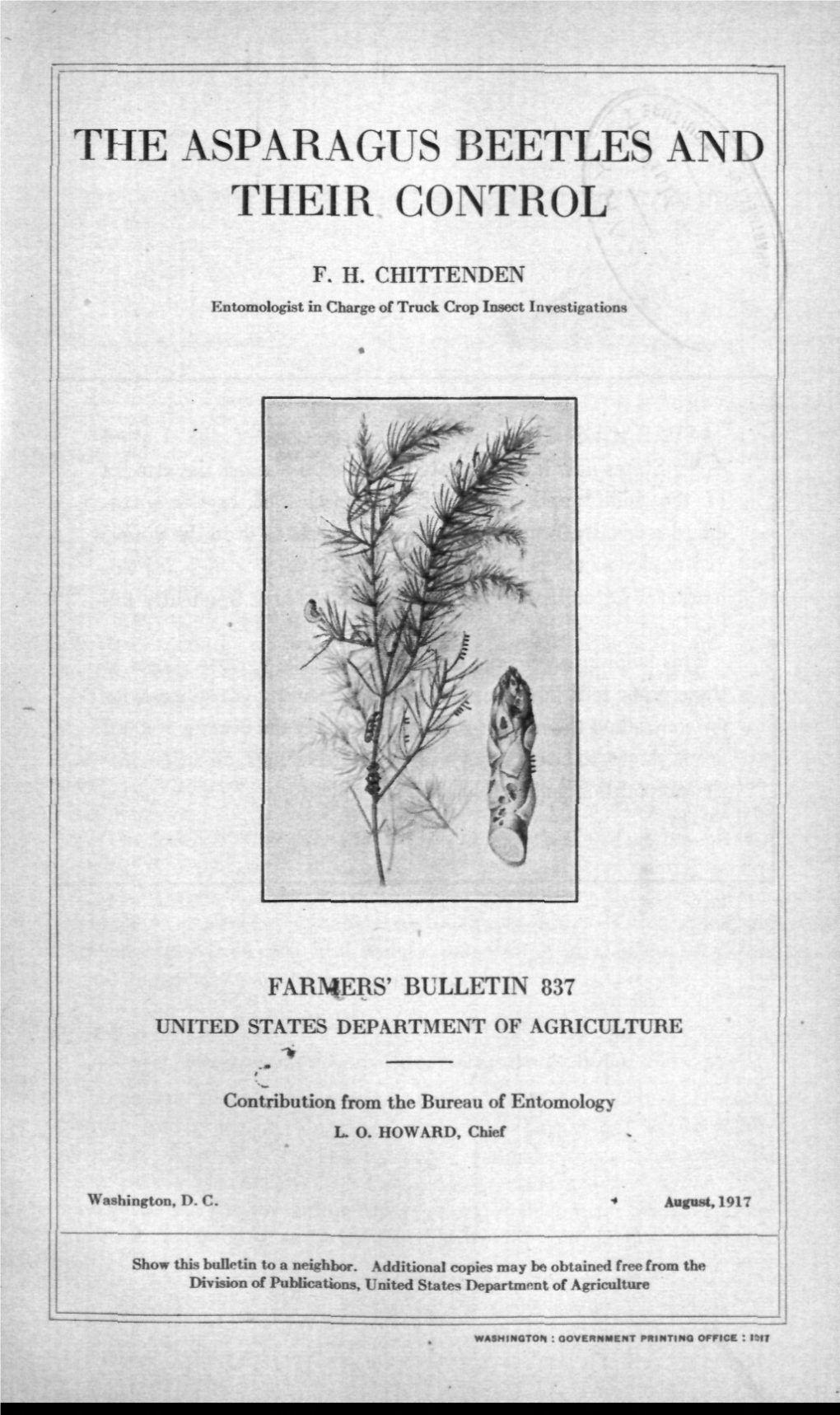 The Asparagus Beetles and Their Control