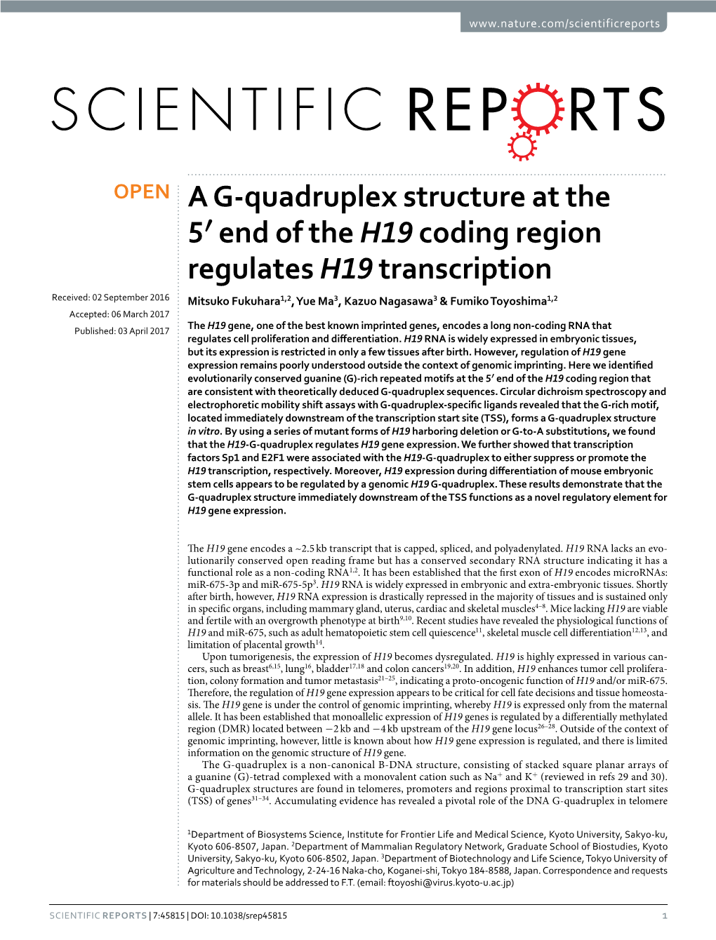 A G-Quadruplex Structure at the 5′ End of the H19 Coding Region Regulates H19 Transcription