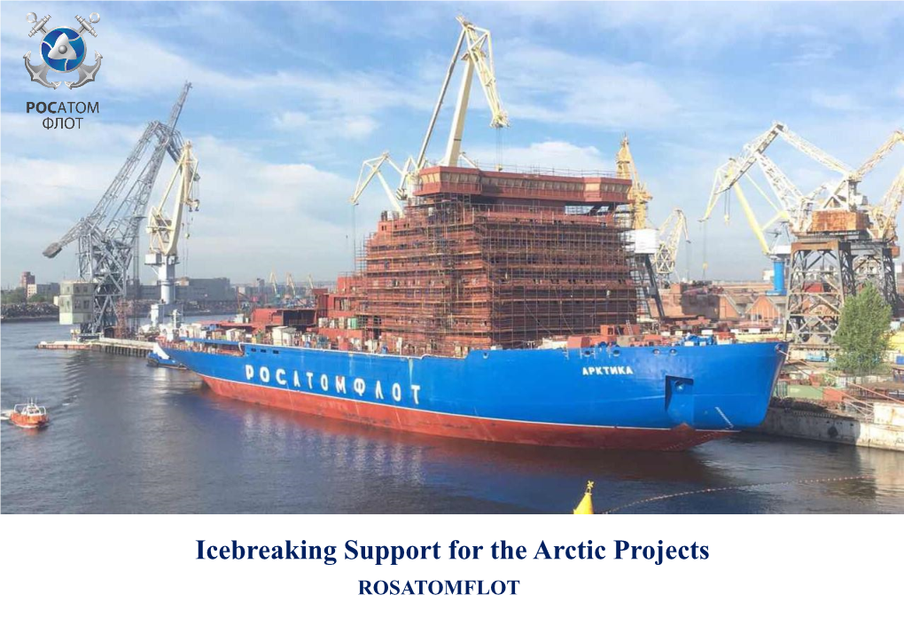 Milestones of the Atomic Icebreaking Fleet Development