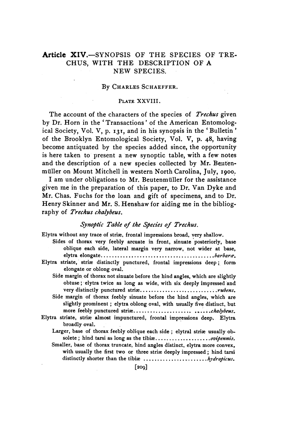 Raphy of Trechus Chalybeus. Synoptic Table of the Species of Trechus