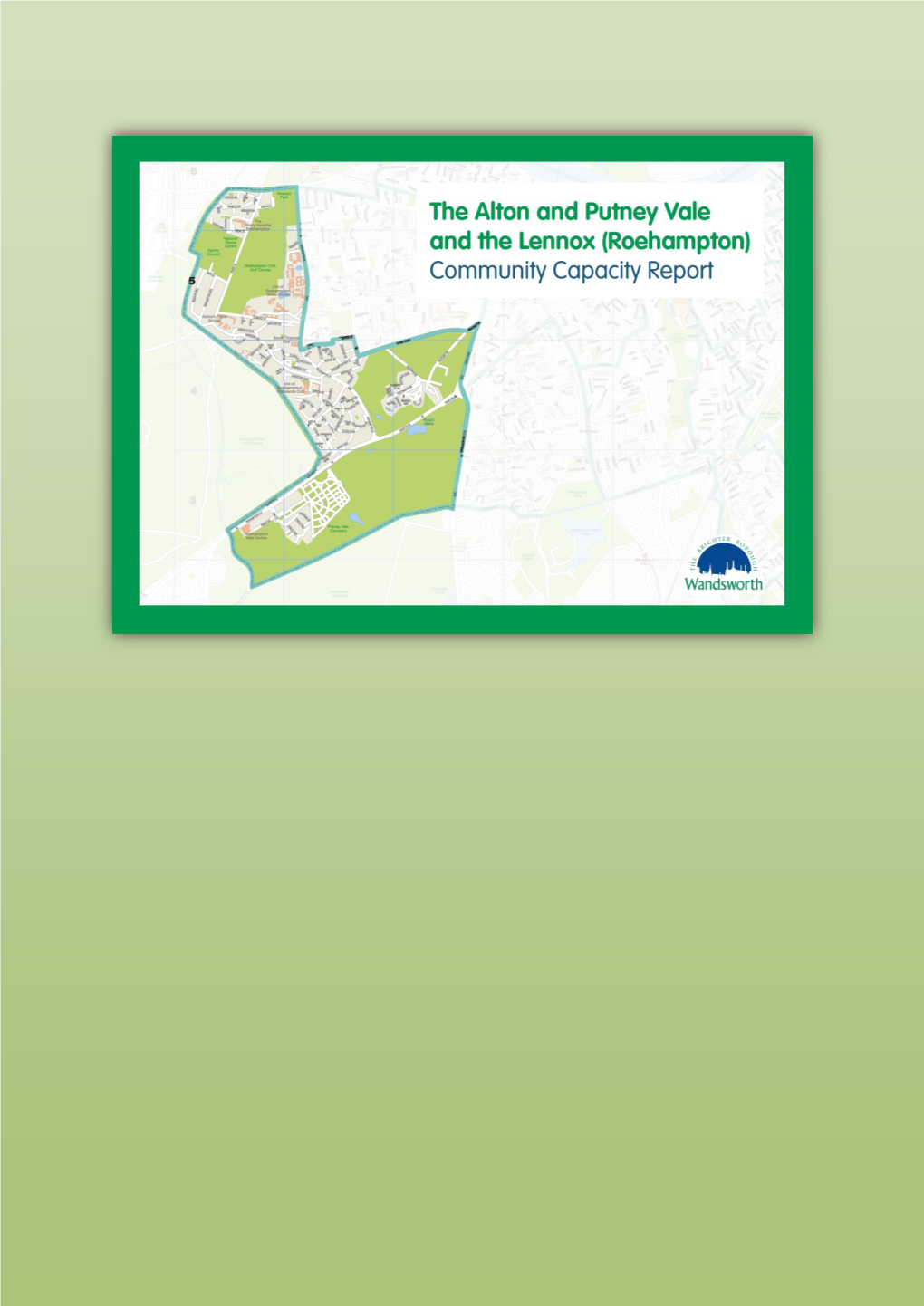 Roehampton Community Capacity Report 2018