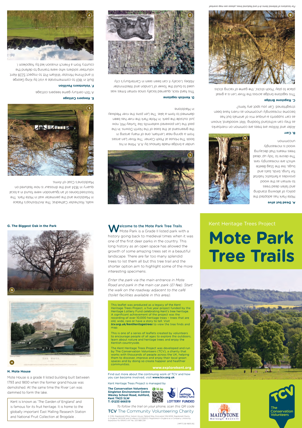 Mote Park Tree Trails