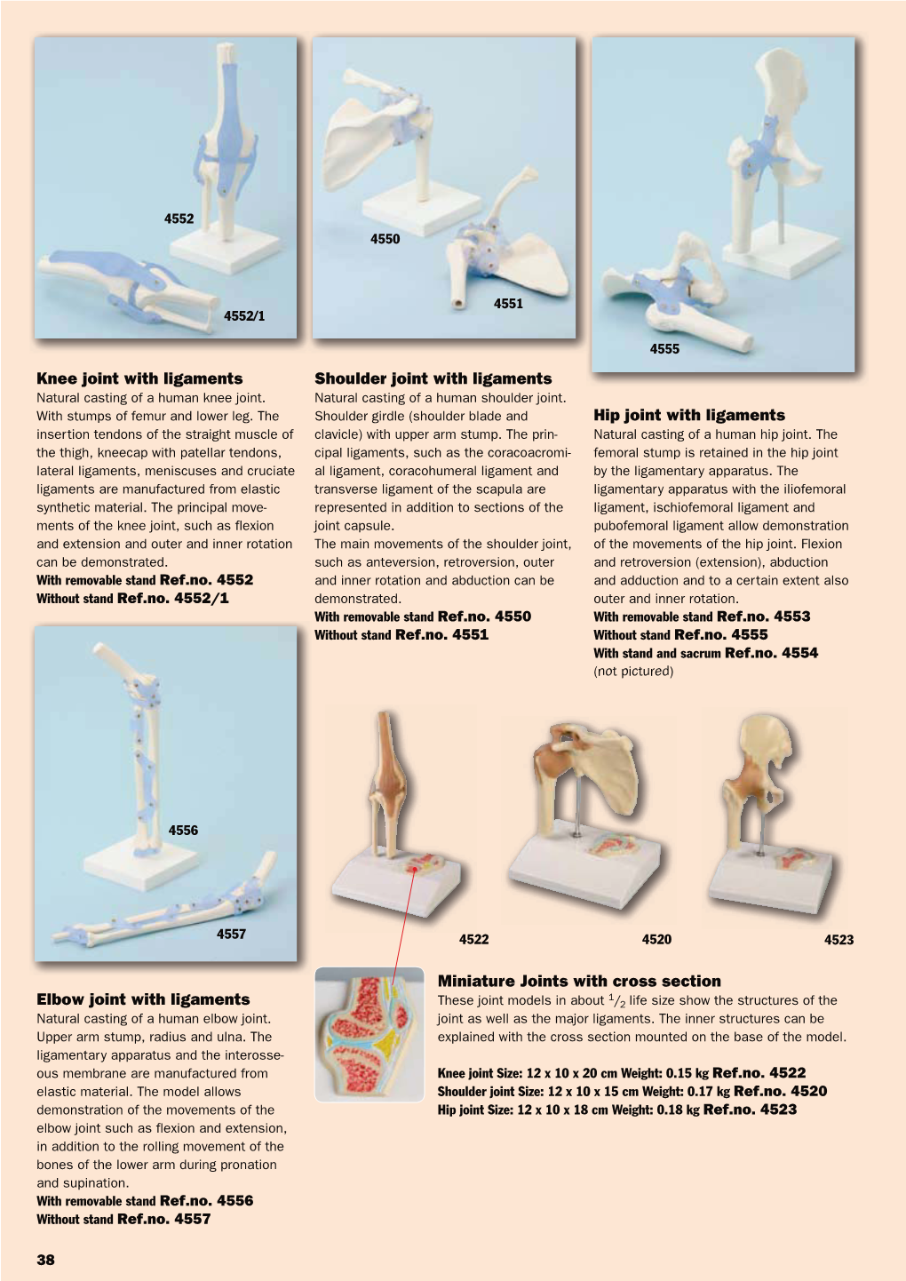 Knee Joint with Ligaments Shoulder Joint with Ligaments Hip Joint With