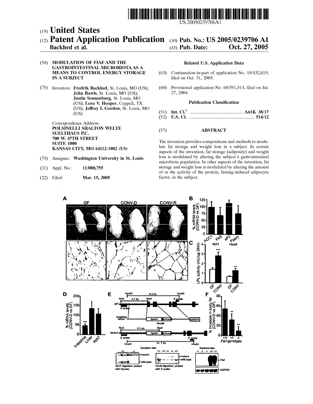 (12) Patent Application Publication (10) Pub. No.: US 2005/0239706A1 Backhed Et Al