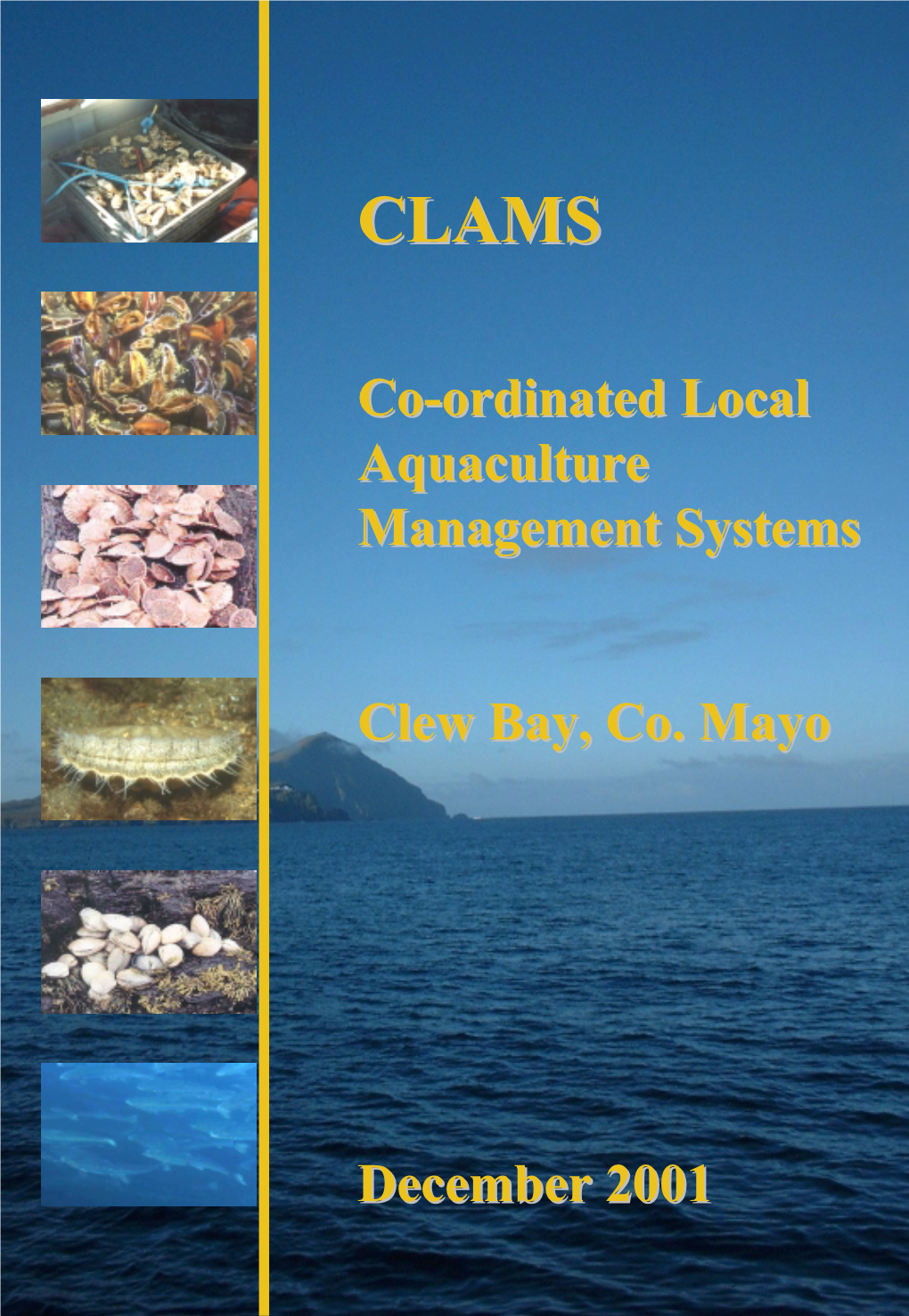 Co-Ordinated Local Aquaculture Management Systems Clew Bay, Co. Mayo December 2001