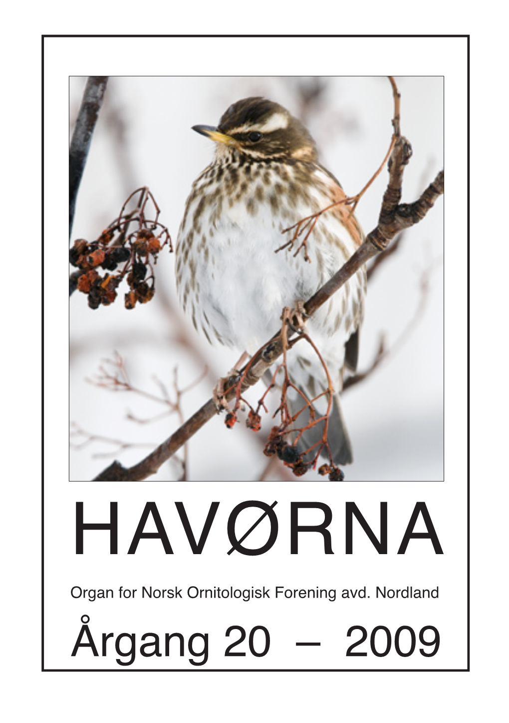 HAVØRNA Organ for Norsk Ornitologisk Forening Avd