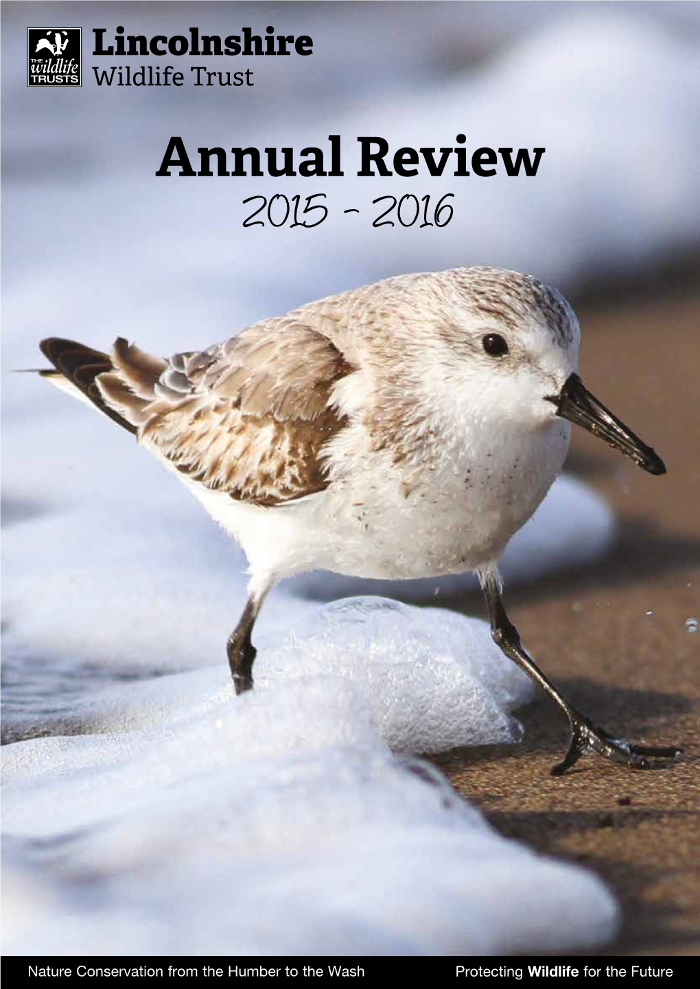 Annual Review 2015 - 2016