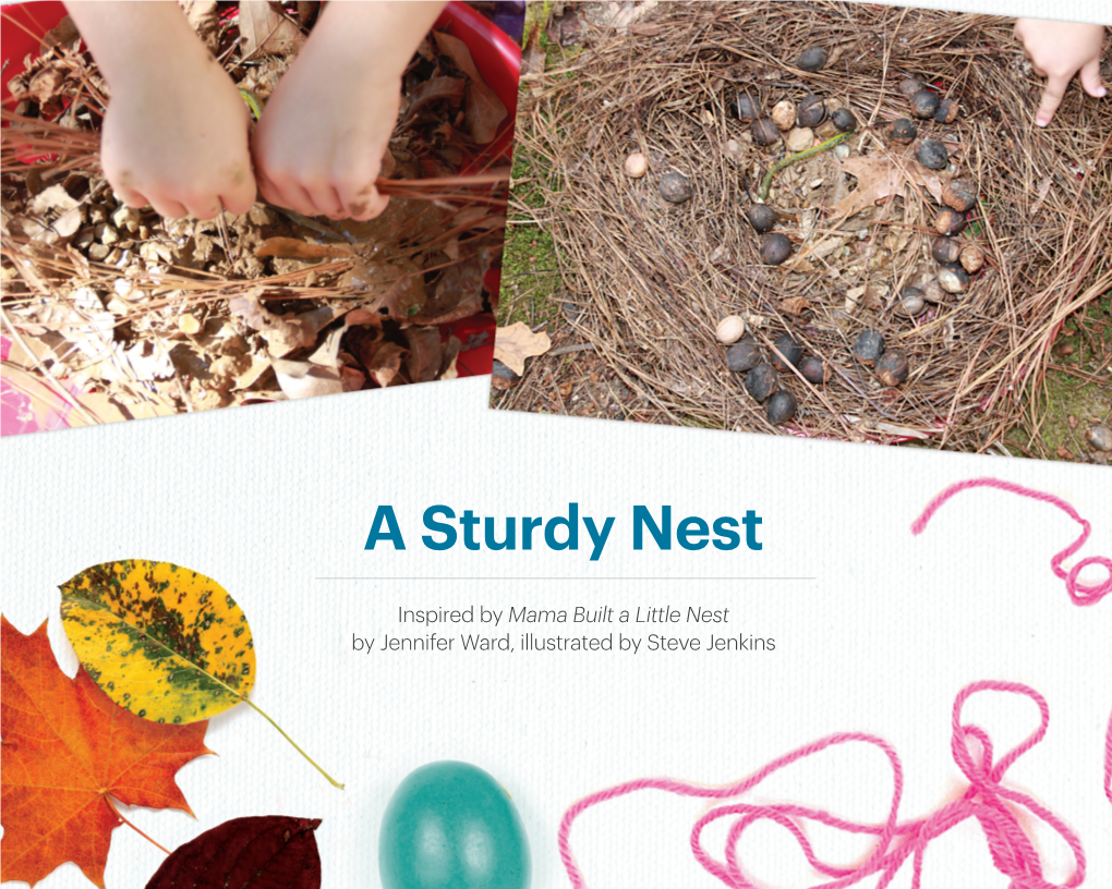 A Sturdy Nest