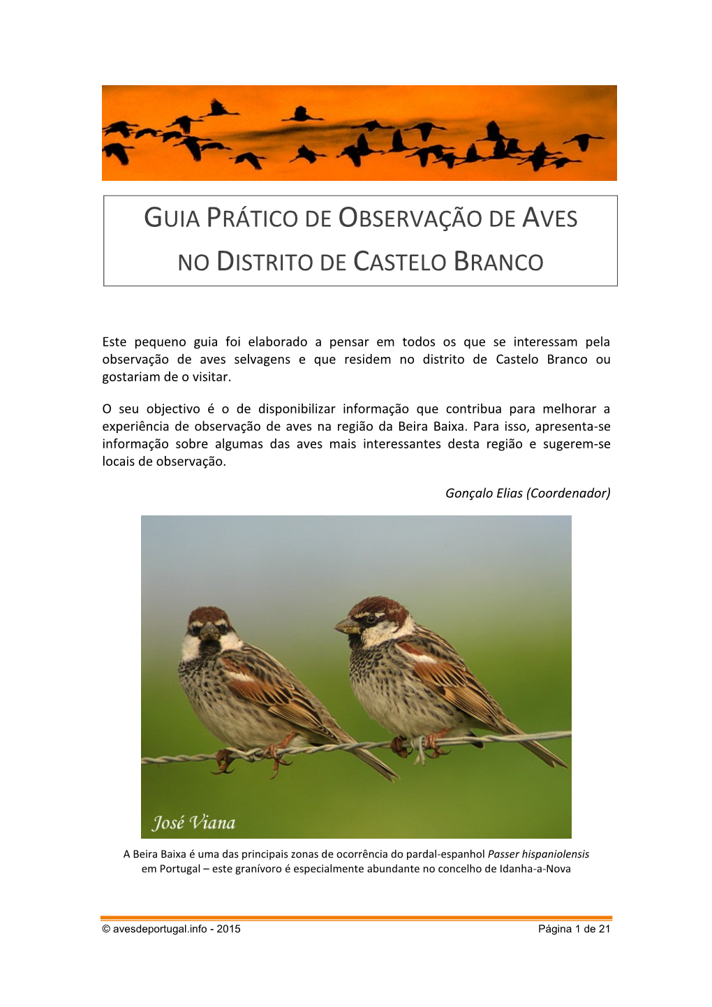 Guia Prático De Observação De Aves No Distrito De Castelo Branco