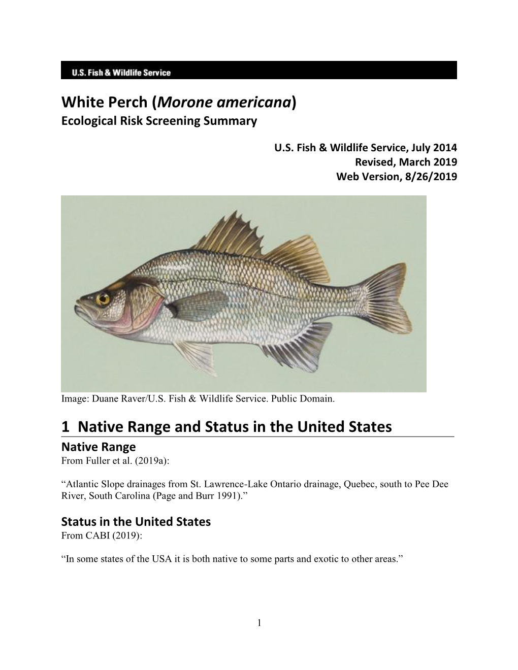 White Perch (Morone Americana) ERSS