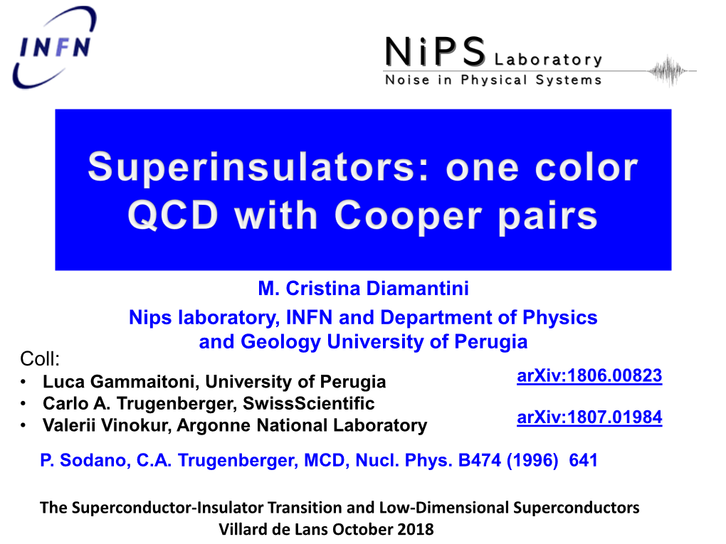 M. Cristina Diamantini Nips Laboratory, INFN and Department of Physics and Geology University of Perugia Coll