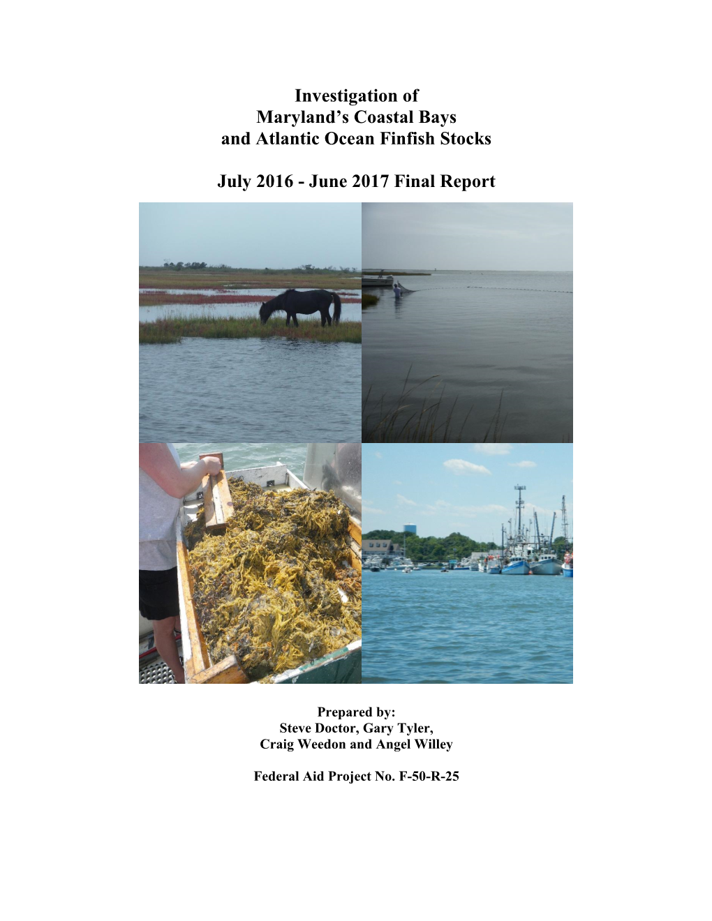 Investigation of Maryland's Coastal Bays and Atlantic Ocean Finfish