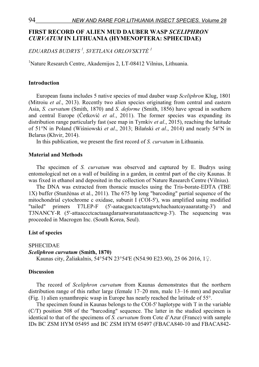 First Record of Alien Mud Dauber Wasp Sceliphron Curvatum in Lithuania (Hymenoptera: Sphecidae)