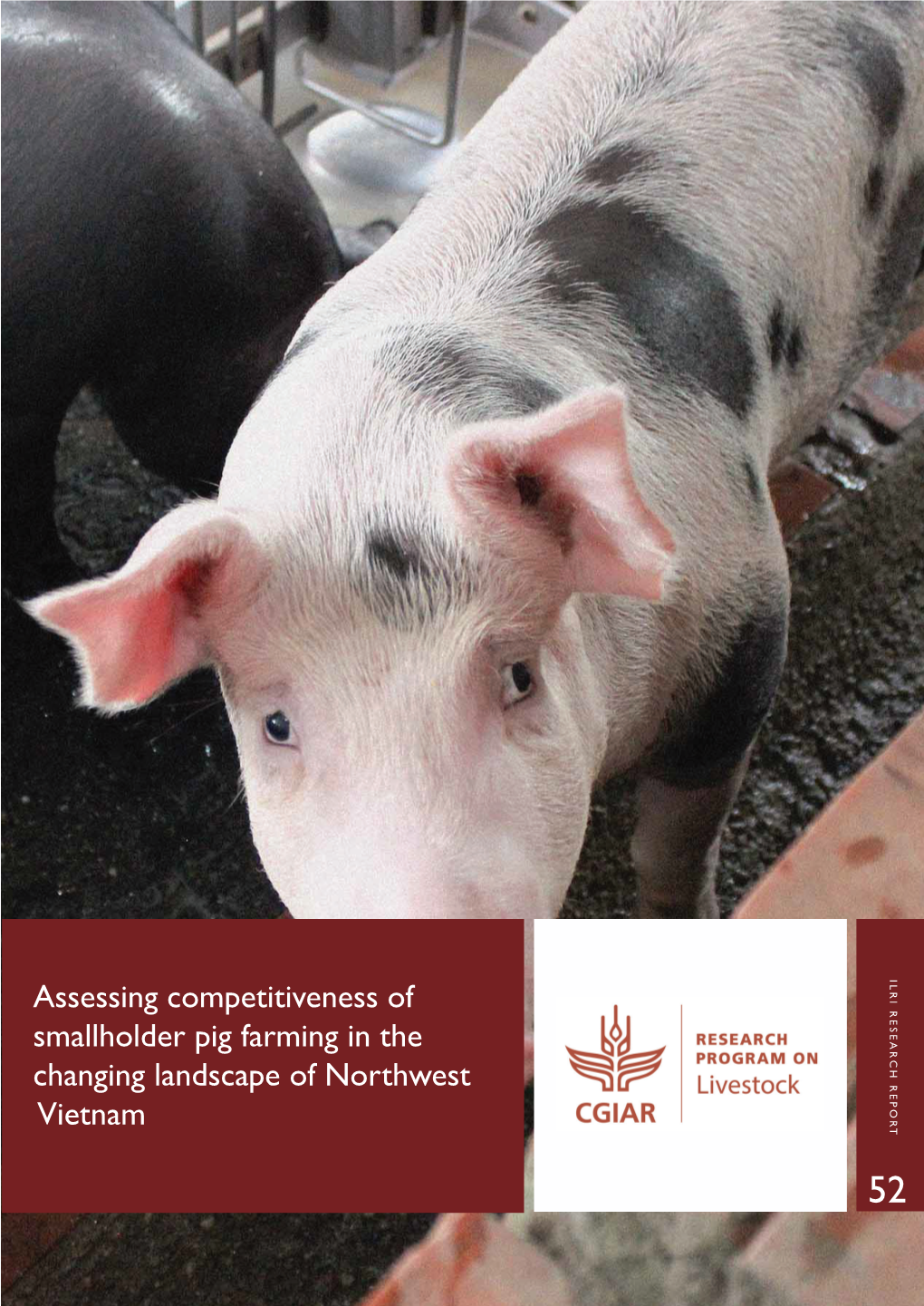 Assessing Competitiveness of Smallholder Pig Farming in the Changing Landscape of Northwest Vietnam