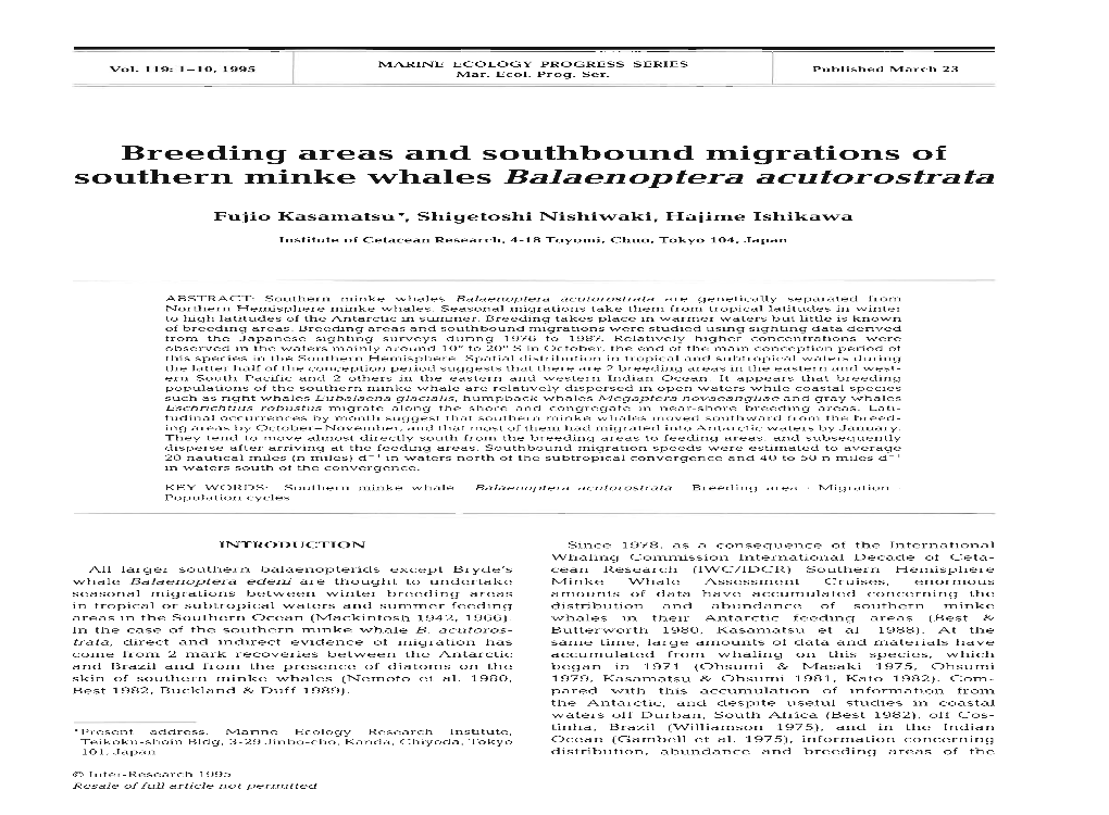 Southern Minke Whales Balaenoptera Acutorostrata