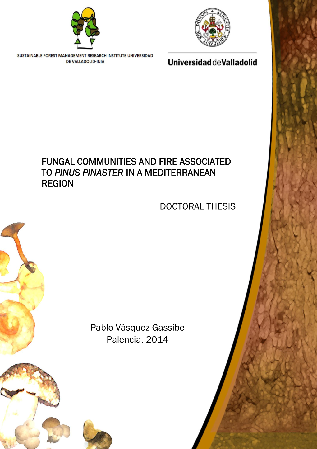 Fire and Fungal Communities Associated to P. Pinaster In