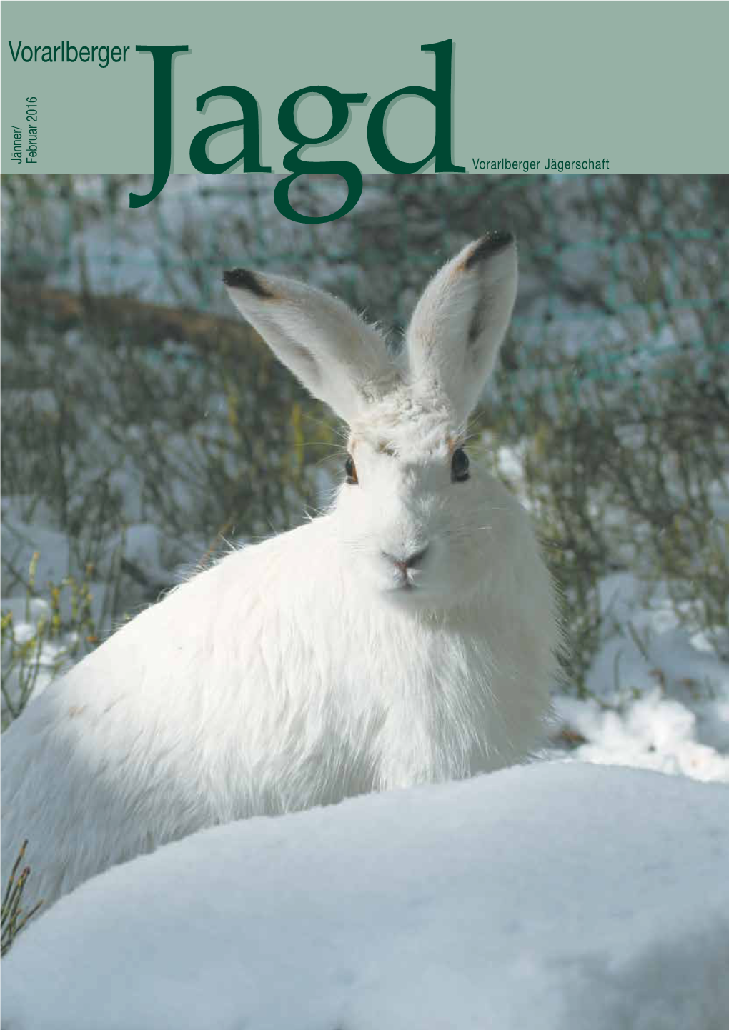 Jänner – Februar 2016