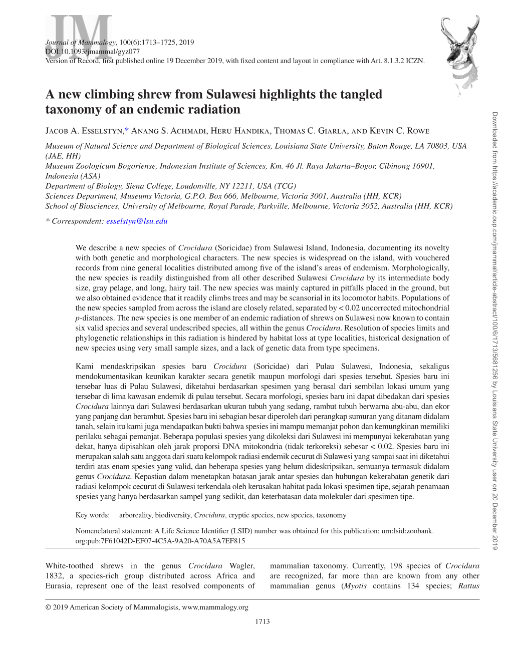 A New Climbing Shrew from Sulawesi Highlights the Tangled Taxonomy Of