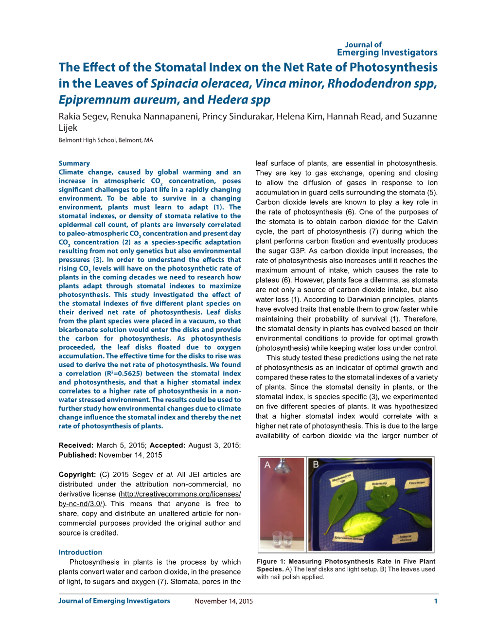 The Effect of the Stomatal Index on the Net Rate of Photosynthesis in The