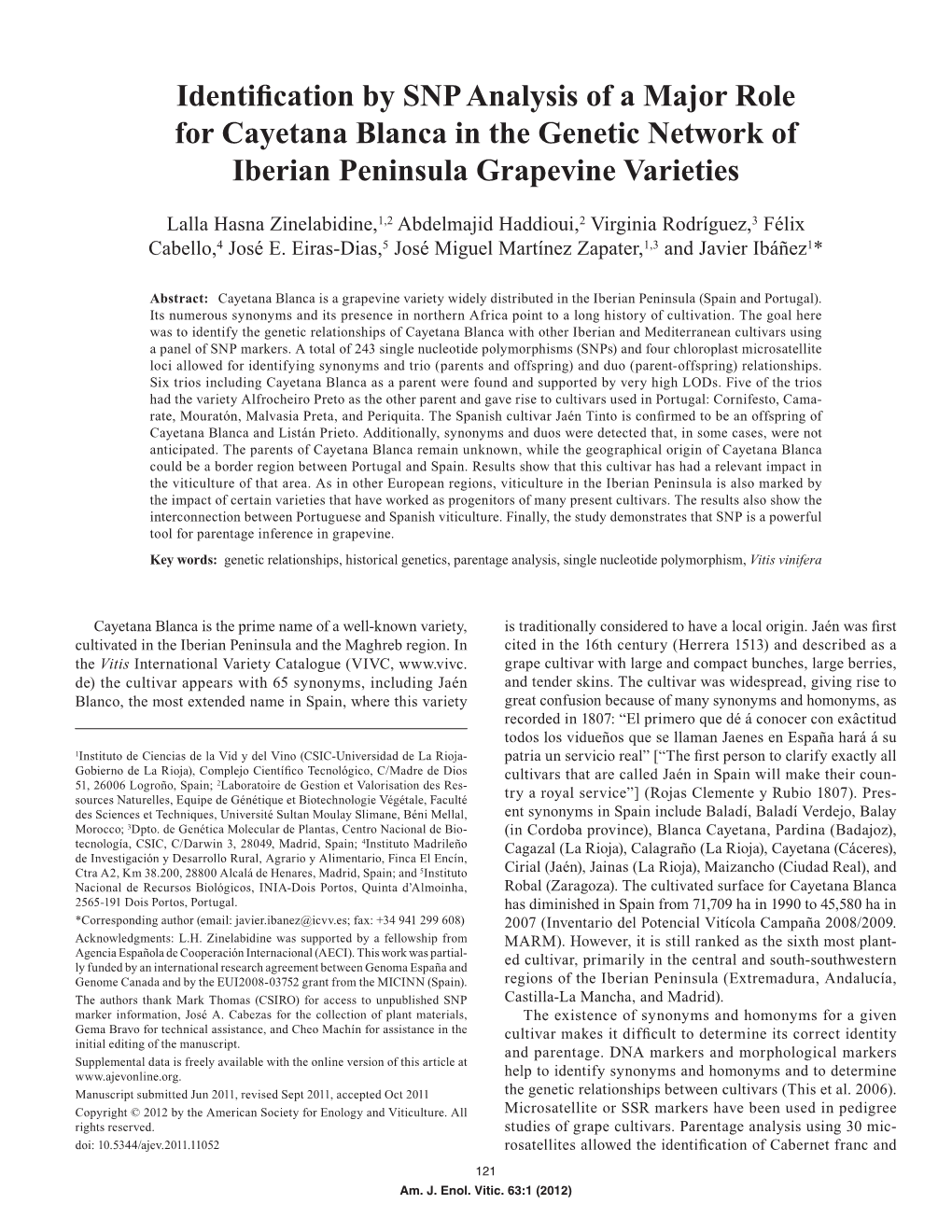 Identification by SNP Analysis of a Major Role for Cayetana Blanca in the Genetic Network of Iberian Peninsula Grapevine Varieties