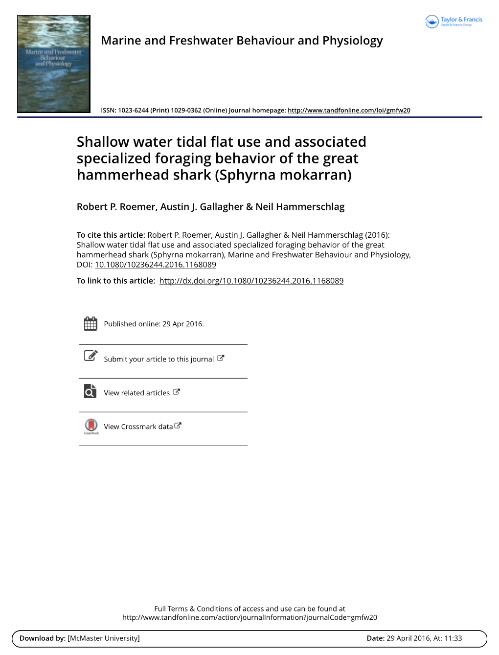 Shallow Water Tidal Flat Use and Associated Specialized Foraging Behavior of the Great Hammerhead Shark (Sphyrna Mokarran)