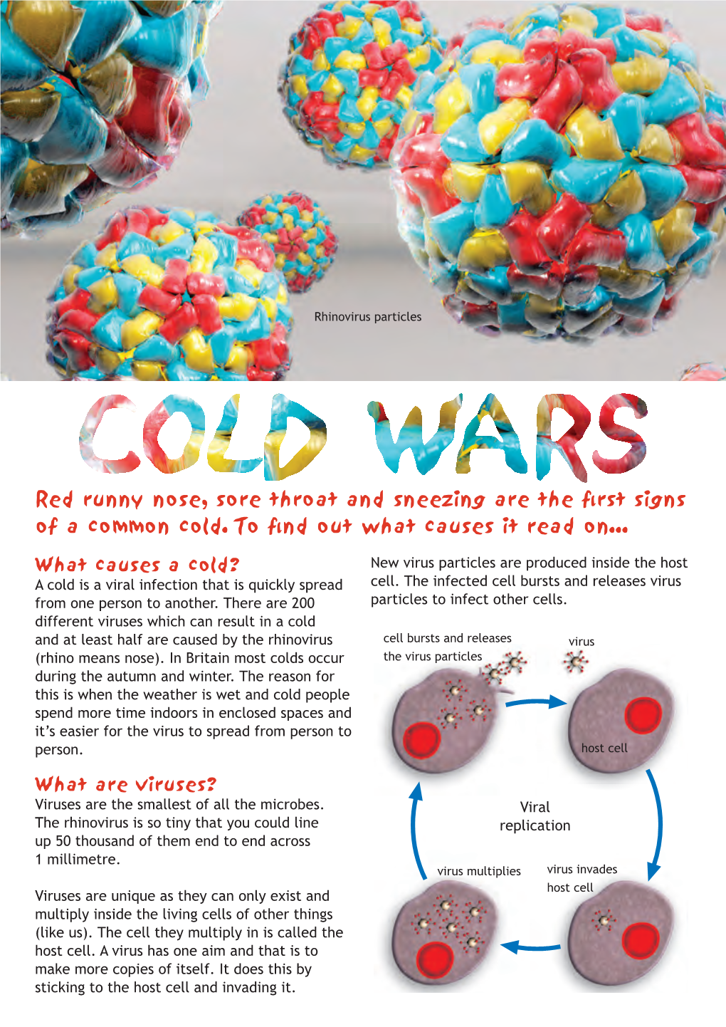 Red Runny Nose, Sore Throat and Sneezing Are the First Signs of a Common Cold