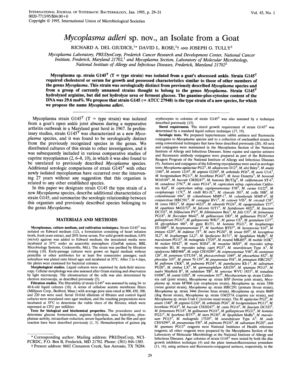 Mycoplasma Adleri Sp. Nov., an Isolate from a Goat