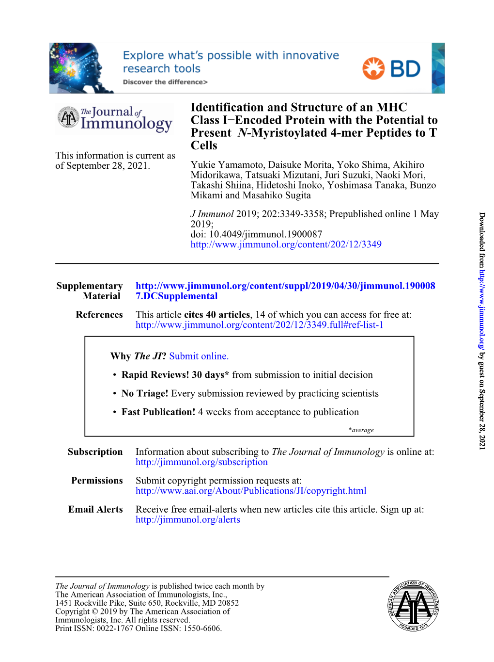 Identification and Structure of an MHC Class I–Encoded Protein with the Potential to Present N-Myristoylated 4-Mer Peptides To