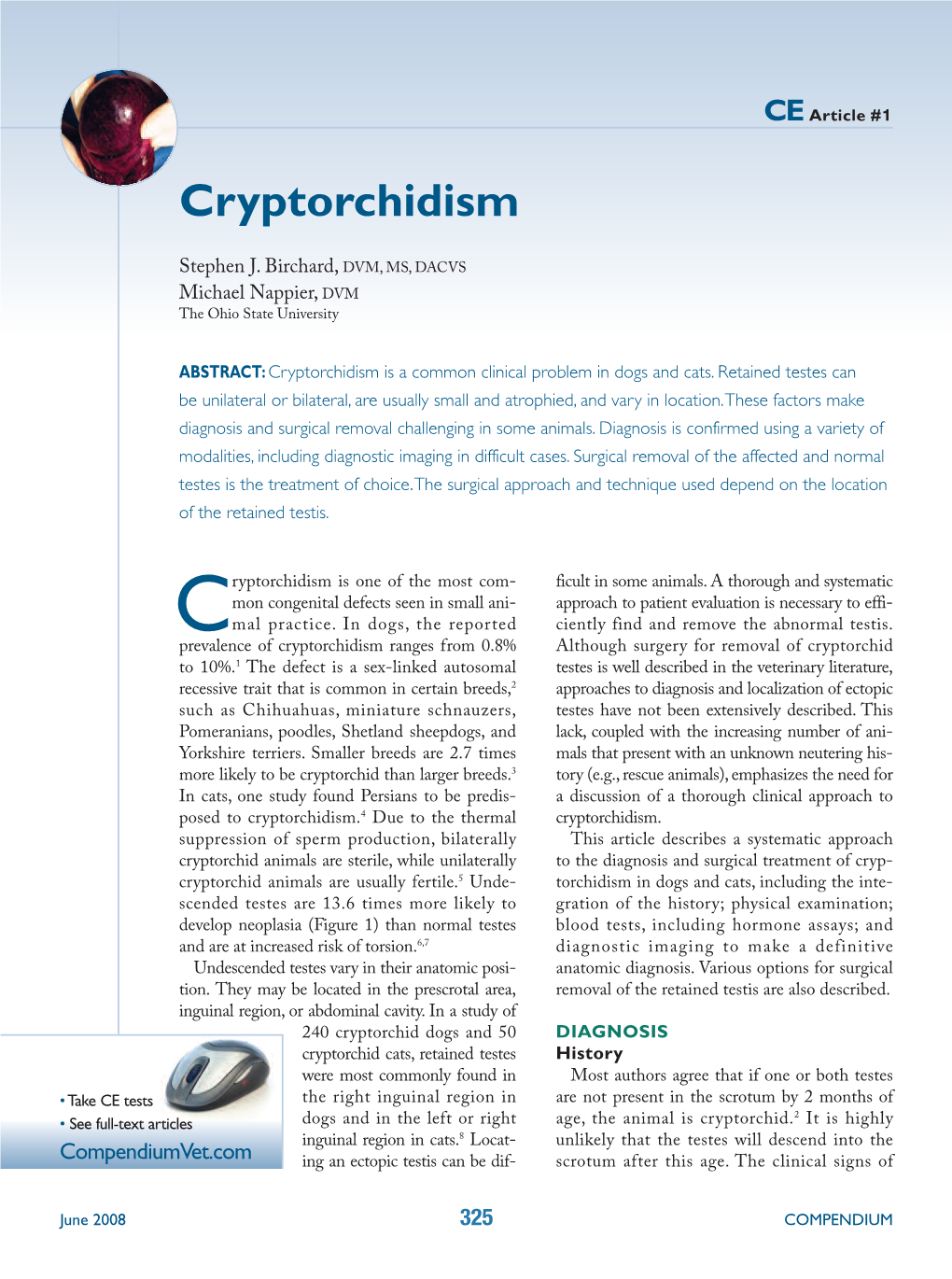 Cryptorchidism