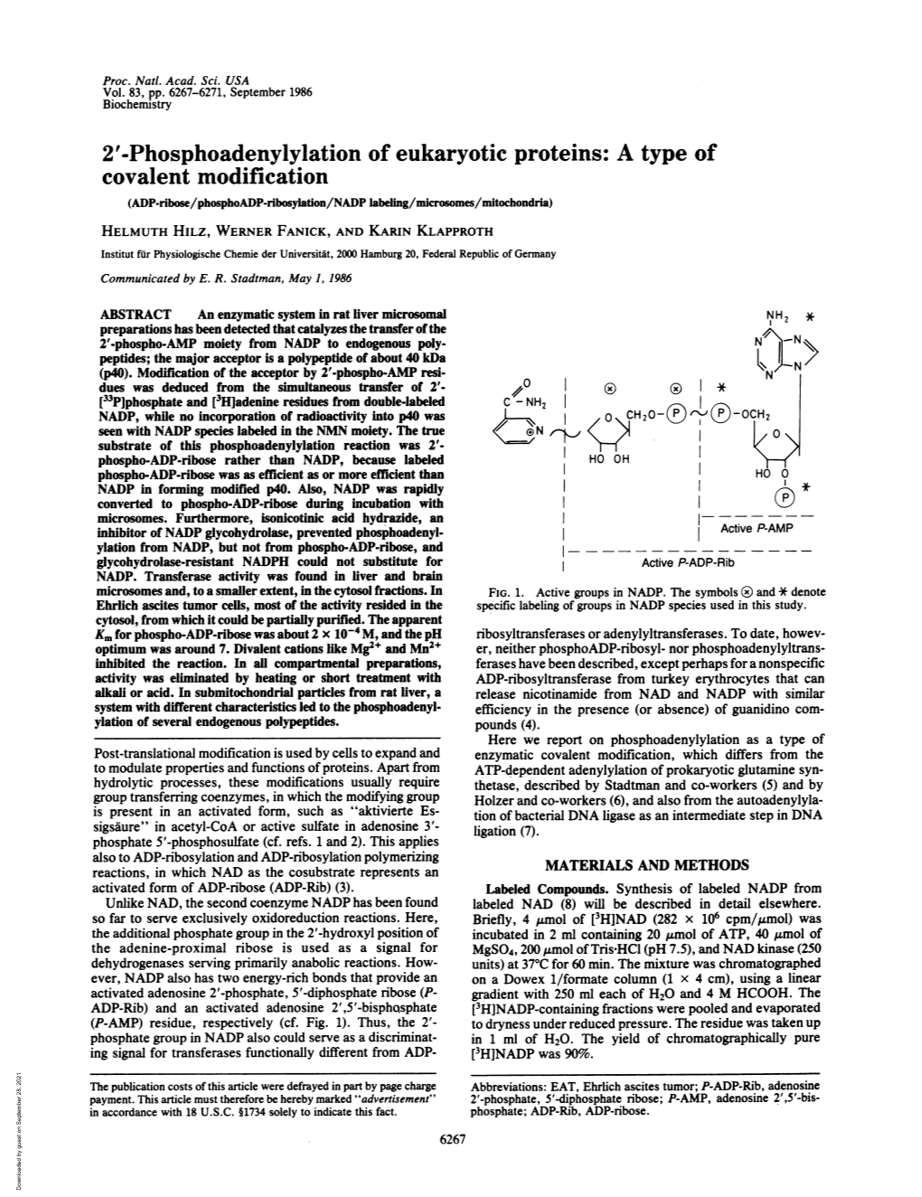 Phosphoadenylylation of Eukaryotic Proteins: a Type of Covalent