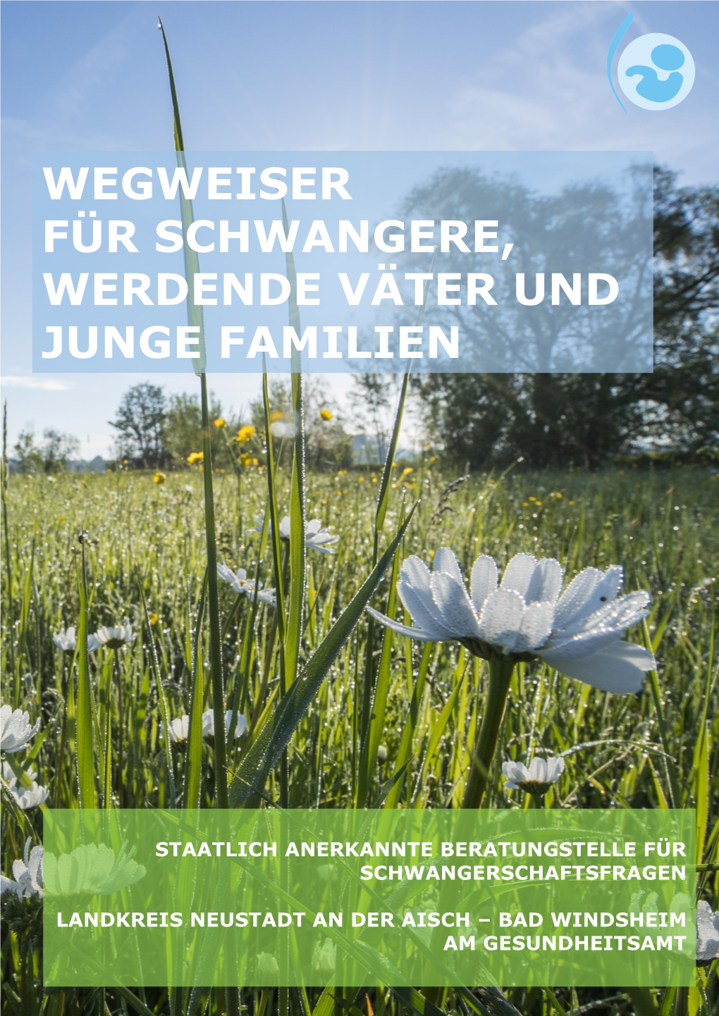 Wegweiser Für Schwangere, Werdende Väter Und Junge Familien