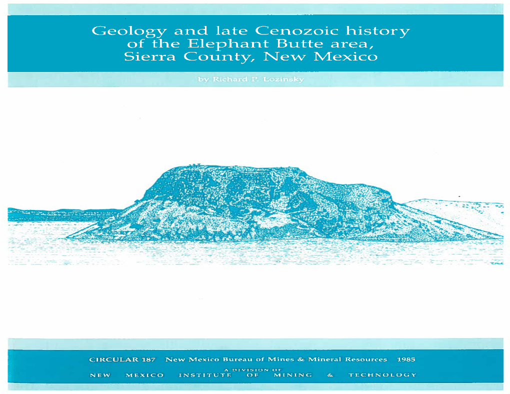 Geology and Late Cenozoic History of the Elephant Butte Area, Sierra County, New Mexico