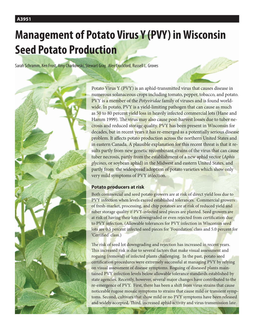 Management of Potato Virus Y (PVY) in Wisconsin Seed Potato Production (A3951) I-06-11