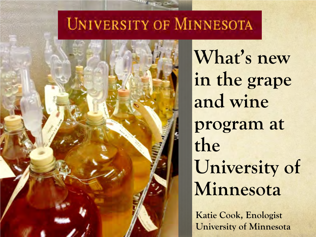 What's New in the Grape and Wine Program at the University Of