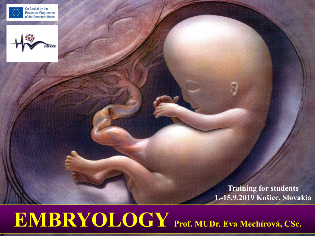 EMBRYOLOGY Prof