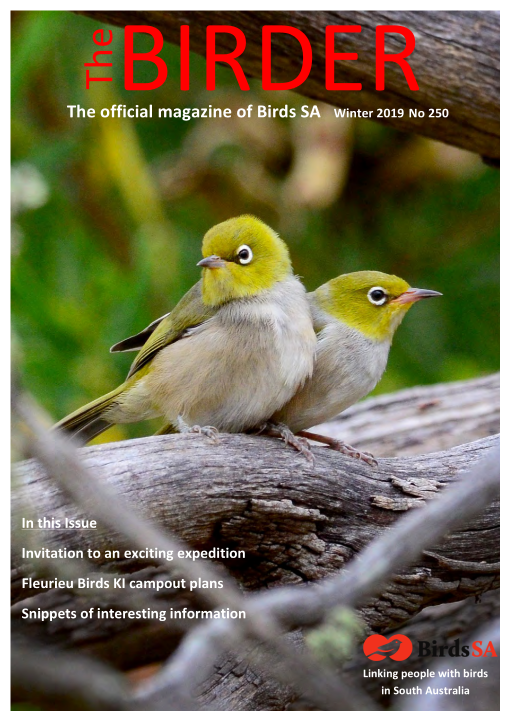 The Birder, No. 250, Winter 2019